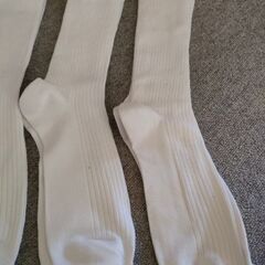 中学生　靴下　白の画像