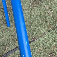 Francfranc ロータスパーソナルチェア 廃盤 ピンク×ブルー 室内使用 の画像