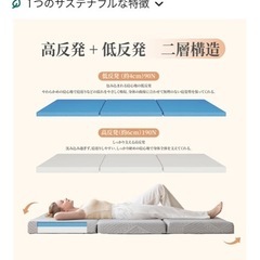 (値下げ)ダブル マットレス 3つ折りの画像