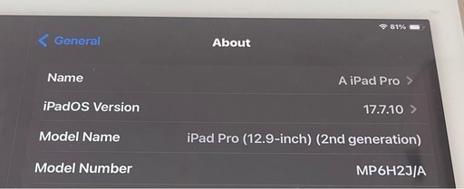 Apple (アップル) iPad Pro 12.9インチ 第2世代 256GB