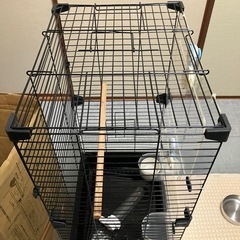 インコ鳥籠の画像