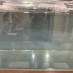 1800 水槽の画像