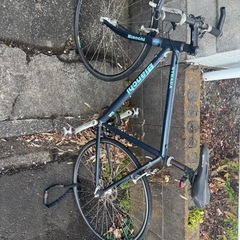 ビアンキの画像