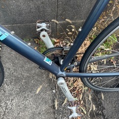 ビアンキの画像