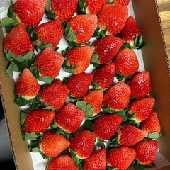 一時停止します💦【いちごさん】の画像