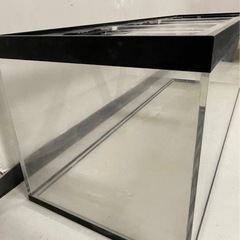 180アクリル水槽　の画像