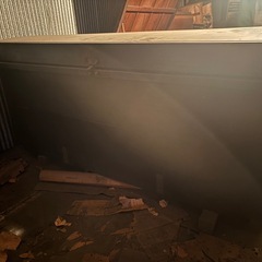 たぶん1番綺麗そうな　ながもち④の画像