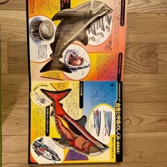 サメ図鑑の画像