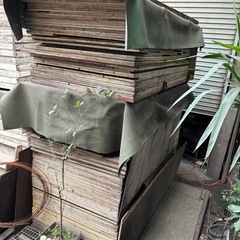 型枠　資材　型枠パネル　コンパネ　木材の画像