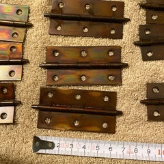 蝶番たくさんの画像