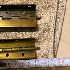 蝶番たくさんの画像