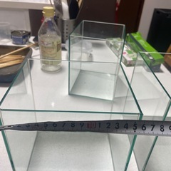 アクアリウム水素の画像