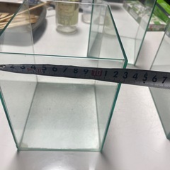 アクアリウム水素の画像