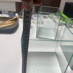 アクアリウム水素の画像