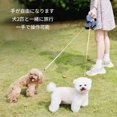 新品未使用品✨ダブル伸縮リード 3m｜絡まない360°回転｜LEDライト付き｜小型〜中型犬用　定価¥4,890の画像