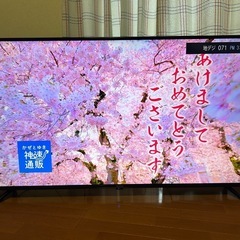 マクスゼン 55型　4K HDR10対応　2024年製　JU55CH06 引き取り限定の画像