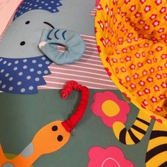 ボーネルンド　プレイネストの画像