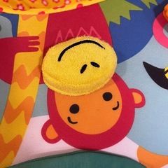 ボーネルンド　プレイネストの画像