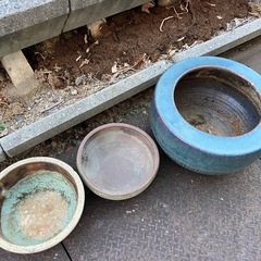 睡蓮鉢　3点セット　ガーデニング　水性植物　メダカ飼育などの画像