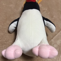 やわらかペンギン イワトビペンギン ぬいぐるみ 約21cm 美品 定価2600円の画像