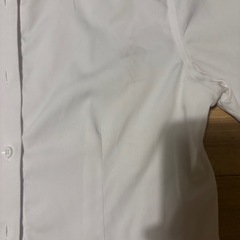 ワイシャツ 半袖
の画像