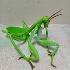 特大カマキリフィギュア