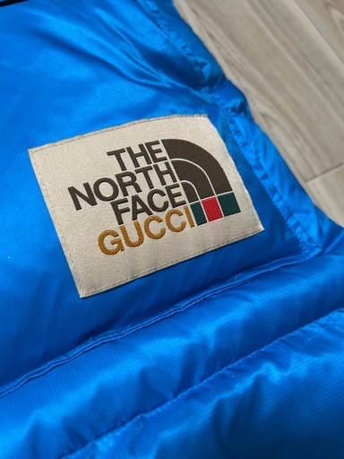THE NORTH FACE GUCCI ダウンジ ブルー コート xxs