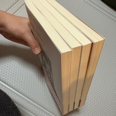 だもんで豊橋が好きって言っとるじゃん！①~④の画像