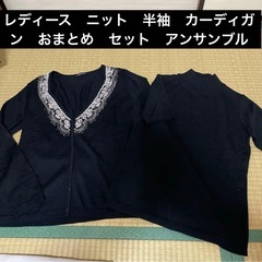 レディース　アンサンブル　ニット　インナー　半袖　ハイネック　ビ...
