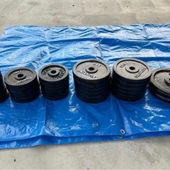 【引き取り限定】ホームジム筋トレ器具一式セットの画像