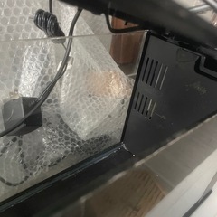 ミニ水槽の画像