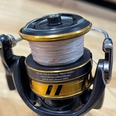 リール　ダイワ　レガリス4000-CXHの画像