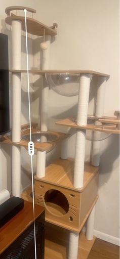 木製キャットタワー Amazon | 日本メーカー RAKU 木製キャットタワー 据え置き 大型猫 無垢 
