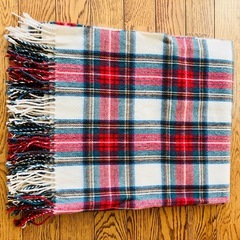  裏起毛手袋、大判ストール　２点セットの画像