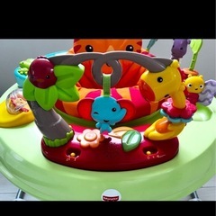 【箱あり美品】レインフォレスト　ジャンパルー　Ⅱの画像