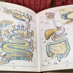 集英社　理科　学習漫画　１２冊セットの画像