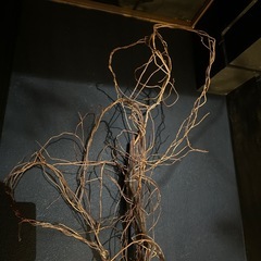 柳 オブジェの画像