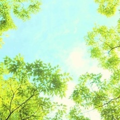 レイキヒーリングと数秘