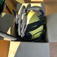 スチームクリーナー、スチームバギーの画像