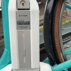 PAS ナチュラレ デラックス　の画像