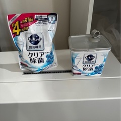 【受付停止】パナソニック Panasonic NP-TSP1 食洗機の画像