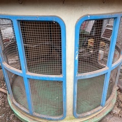 小屋　動物など隠れ家小屋の画像