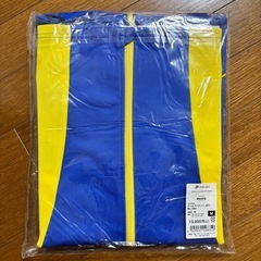 チームCERUMO チームフーデットの画像