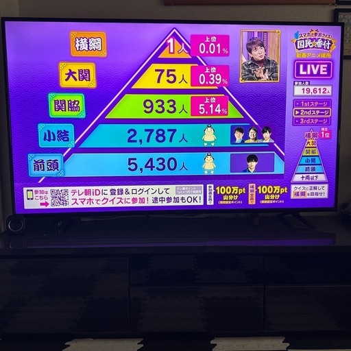 美品！アイリスオーヤマ 65インチ4K液晶テレビ  スタンド、ファイヤースティック付き