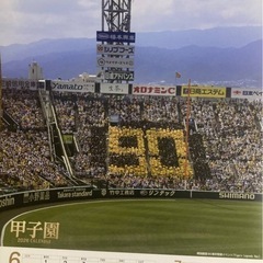 まとめて甲子園球場カレンダーの画像
