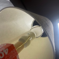 ヴィンテージ ランプシェード: 画像のイラストは「The Orson's Family」と題されており、1980 年にアメリカ人イラストレーターのエイドリアン・アダムスが制作した作品です。の画像