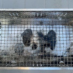 【中古】BBQコンロ／炭火用／脚付きの画像