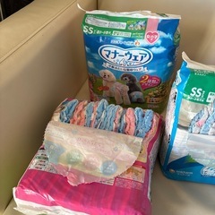 犬用　オムツ　色々　　の画像