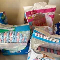犬用　オムツ　色々　　の画像