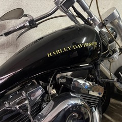 ハーレーダビットソンソフテイルカスタムエボリューションエンジン希少三拍子の画像